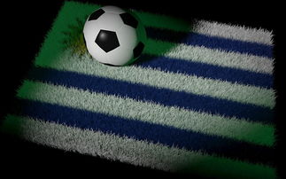 mk体育官网下载安装-国足主帅研究新阵型适应对手,国足对手主帅辞职