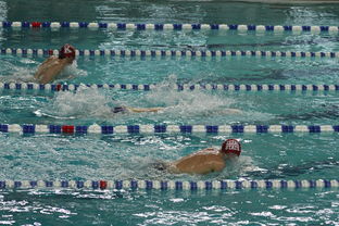 mk体育登录-欧洲长池游泳赛:英国选手揽三金刷新两项记录,欧洲游泳锦标赛奖牌榜