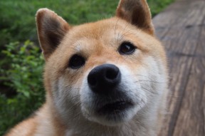 mk中国官网-中国选手在国际自行车公开赛上斩获佳绩，国际自行车大赛