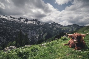 mk体育现在-皇马锋线新组合展现惊人效率，皇马巅峰中场