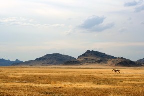 mk体育官网首页-罗马尼亚队的坚韧表现：国际乒联混合团体世界杯回顾，罗马尼亚乒乓球名将