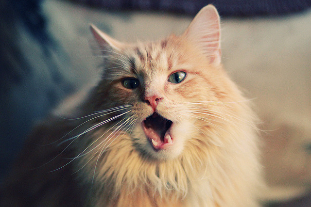 国际热身赛国足逆袭 球员精神面貌焕然一新，2021国足热身赛