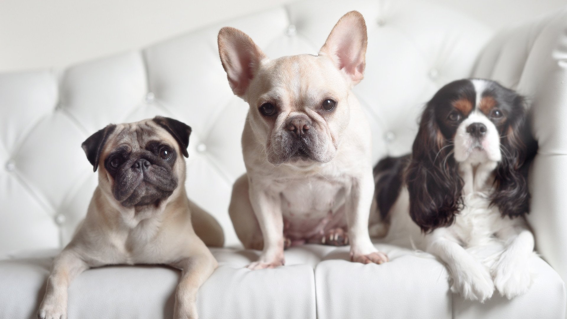 球员节奏变化是否来自训练还是比赛直觉,篮球中的节奏是什么意思