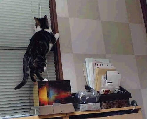 男子100自转身速度排名发布,世界男子100米速度排名