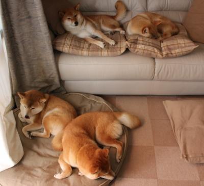 男子100自转身速度排名发布,世界男子100米速度排名