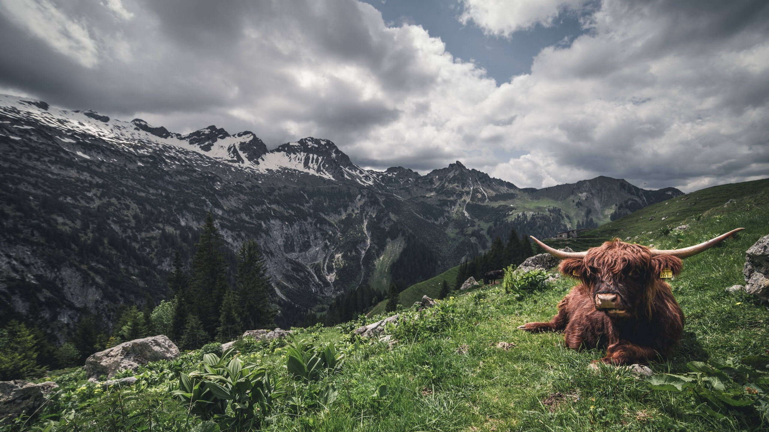 皇马锋线新组合展现惊人效率，皇马巅峰中场