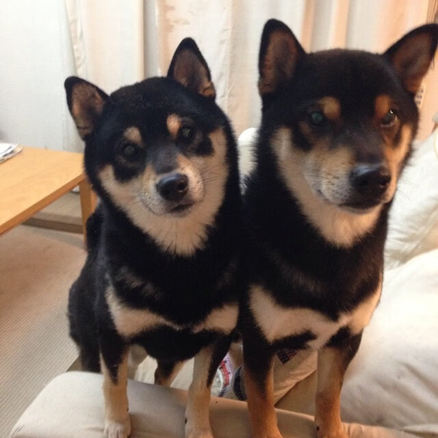 法甲新星崭露头角：未来领袖冉冉升起！，法甲新秀